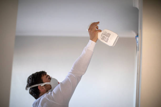 Best Same-Day Mold Removal  in East Rockaway, NY